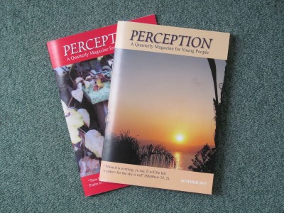Perception Magazine 2022 (USA)