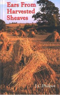 Ears from Harvested Sheaves